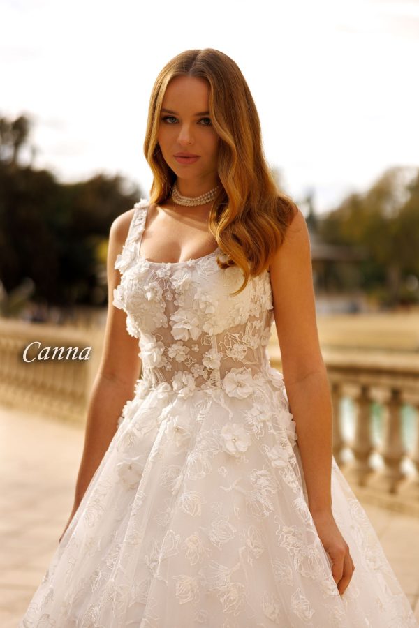 Canna - imagine 3